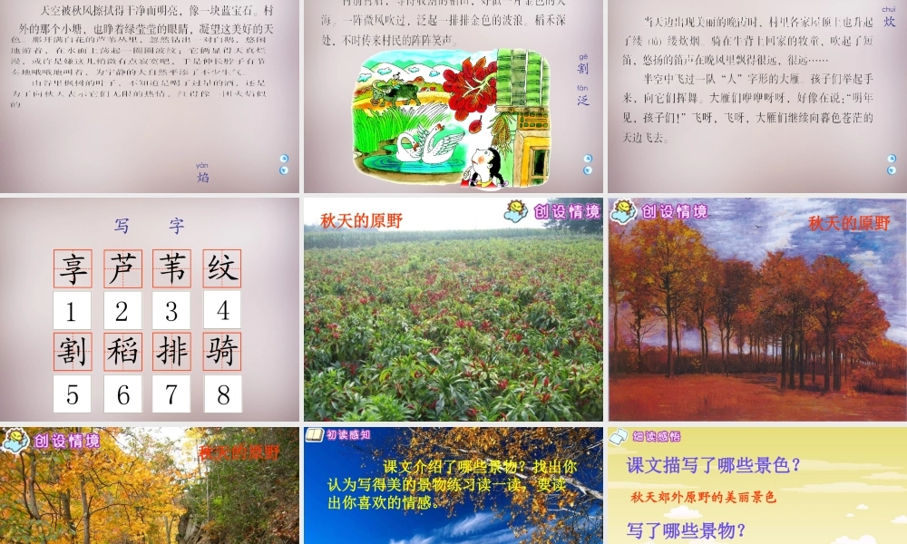 四年级语文上册《秋的原野》课件1 语文A版-语文A版小学四年级上册语文课件