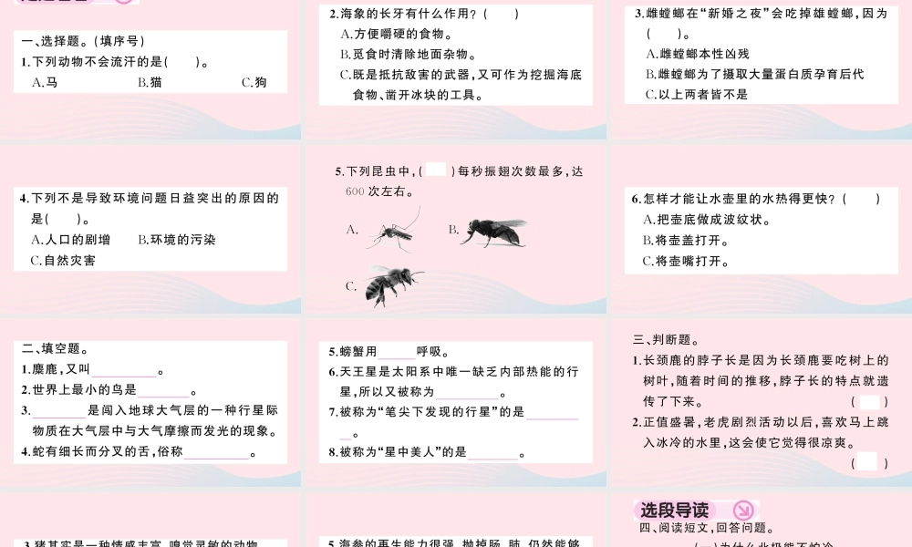 四年级语文下册 第二单元《快乐读书吧》作业课件 新人教版-新人教版小学四年级下册语文课件