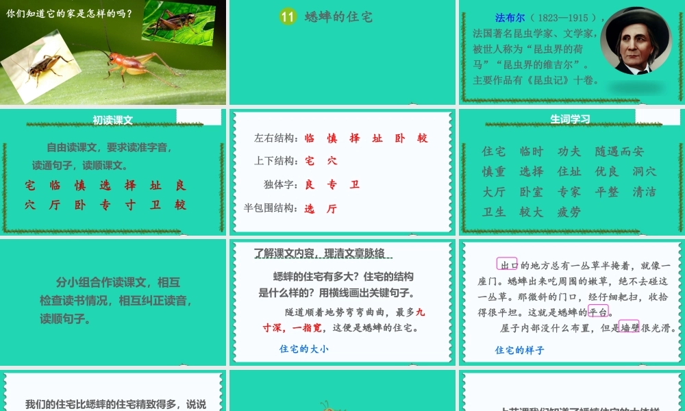 四年级语文上册 第三单元 11《蟋蟀的住宅》课件 新人教版-新人教版小学四年级上册语文课件