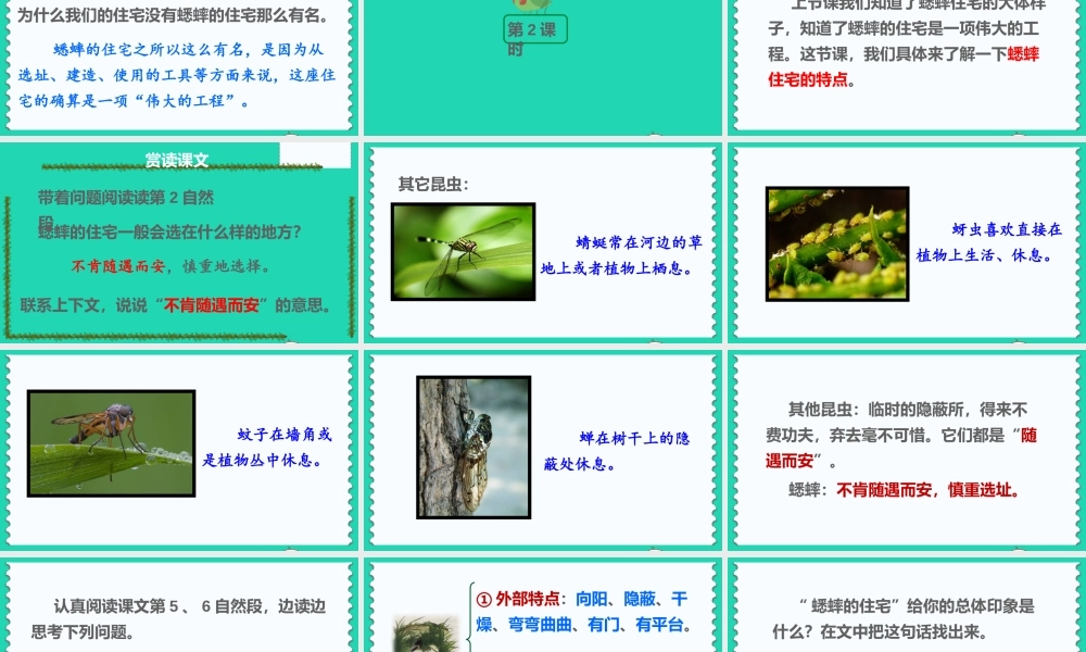 四年级语文上册 第三单元 11《蟋蟀的住宅》课件 新人教版-新人教版小学四年级上册语文课件