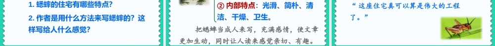 四年级语文上册 第三单元 11《蟋蟀的住宅》课件 新人教版-新人教版小学四年级上册语文课件