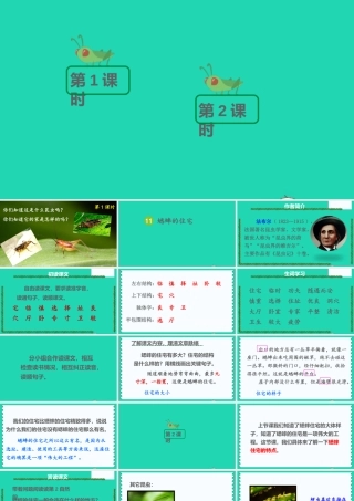 四年级语文上册 第三单元 11《蟋蟀的住宅》课件 新人教版-新人教版小学四年级上册语文课件