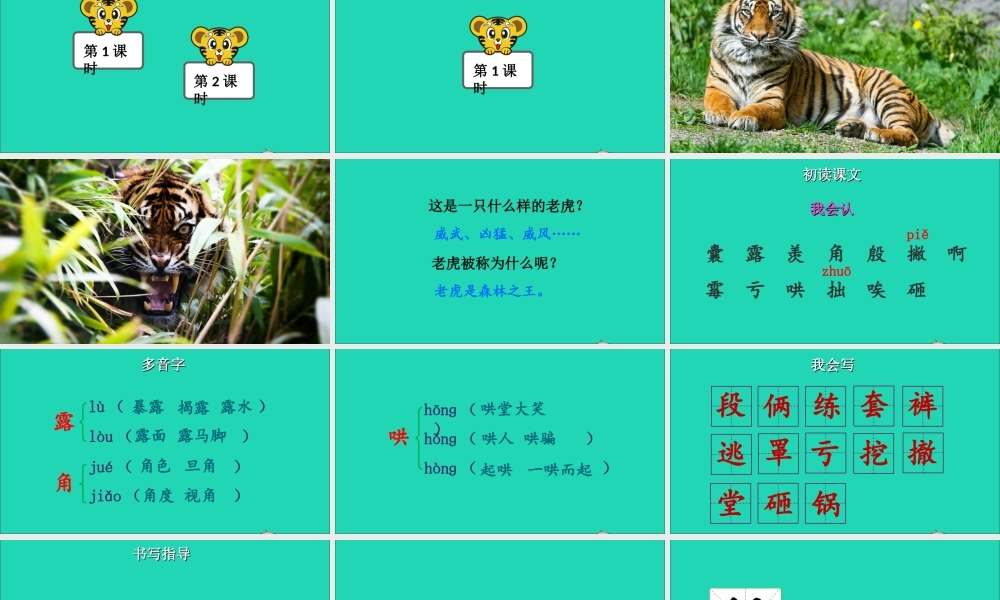 四年级语文上册 第六单元 19《一只窝囊的大老虎》课件