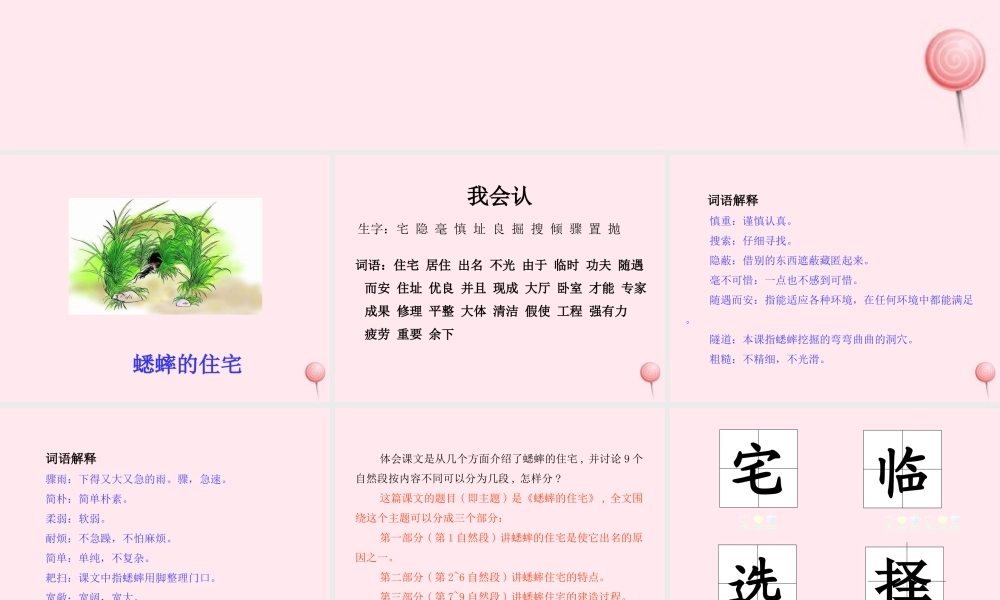 四年级语文上册 第三单元 11蟋蟀的住宅课件 新人教版-新人教版小学四年级上册语文课件