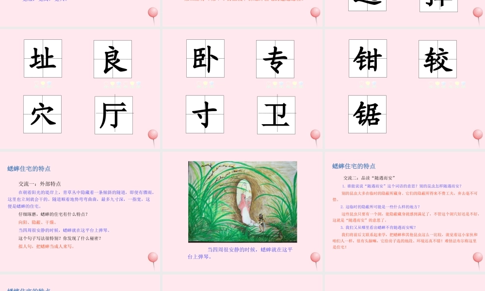 四年级语文上册 第三单元 11蟋蟀的住宅课件 新人教版-新人教版小学四年级上册语文课件