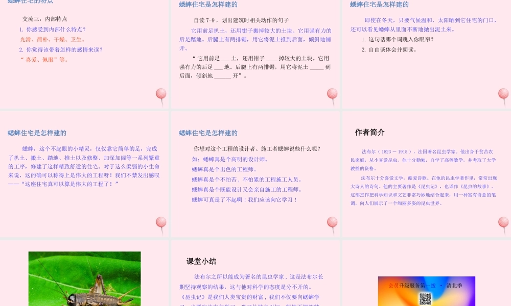 四年级语文上册 第三单元 11蟋蟀的住宅课件 新人教版-新人教版小学四年级上册语文课件