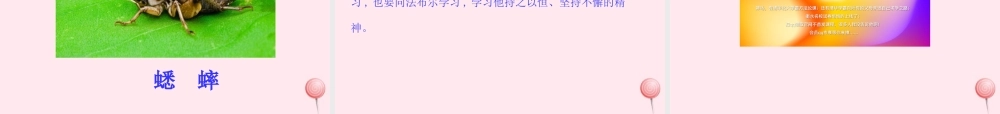 四年级语文上册 第三单元 11蟋蟀的住宅课件 新人教版-新人教版小学四年级上册语文课件