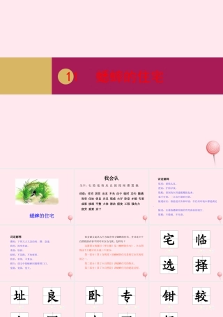 四年级语文上册 第三单元 11蟋蟀的住宅课件 新人教版-新人教版小学四年级上册语文课件