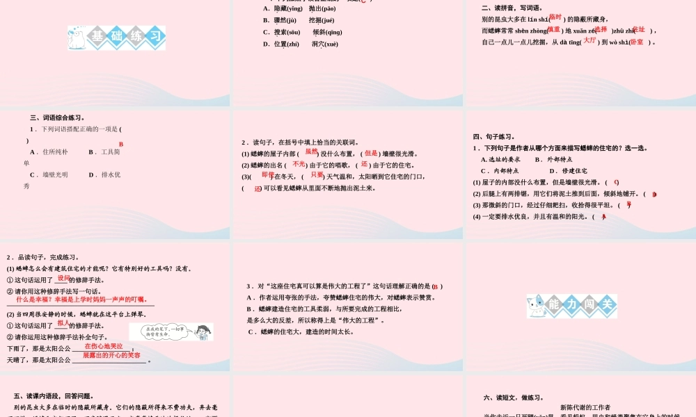 四年级语文上册 第三单元 11蟋蟀的住宅作业课件 新人教版-新人教版小学四年级上册语文课件