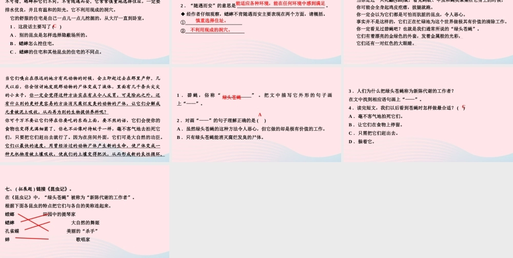 四年级语文上册 第三单元 11蟋蟀的住宅作业课件 新人教版-新人教版小学四年级上册语文课件