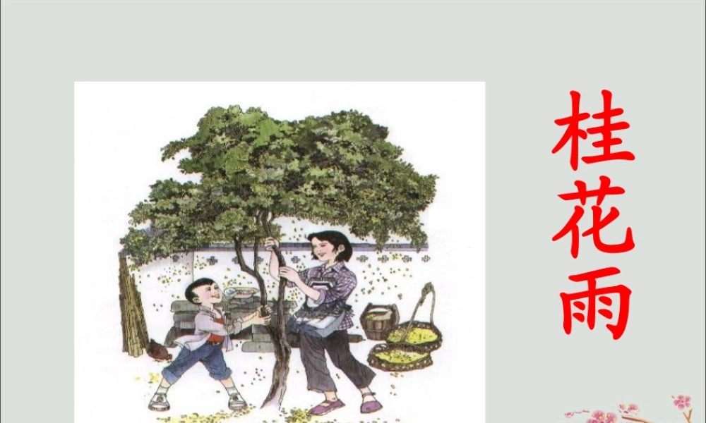 四年级语文上册 第三单元 12 桂花雨教学课件1 苏教版-苏教版小学四年级上册语文课件