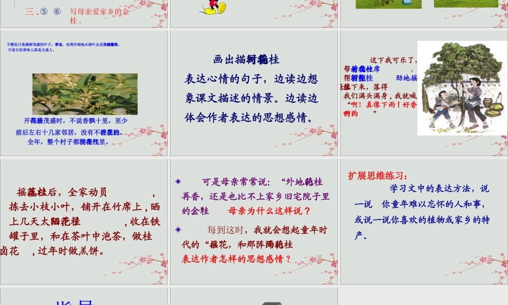 四年级语文上册 第三单元 12 桂花雨教学课件1 苏教版-苏教版小学四年级上册语文课件