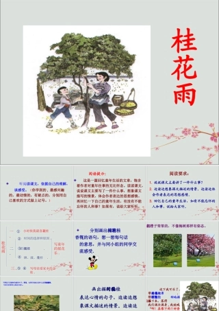 四年级语文上册 第三单元 12 桂花雨教学课件1 苏教版-苏教版小学四年级上册语文课件