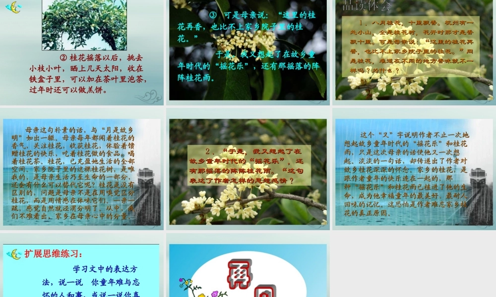 四年级语文上册 第三单元 12 桂花雨教学课件2 苏教版-苏教版小学四年级上册语文课件