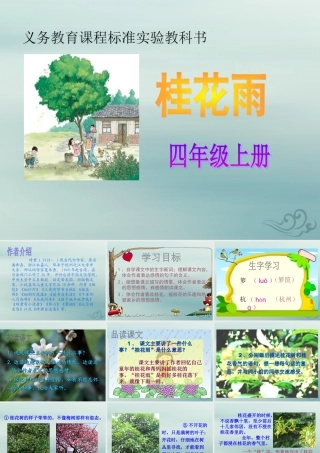 四年级语文上册 第三单元 12 桂花雨教学课件2 苏教版-苏教版小学四年级上册语文课件