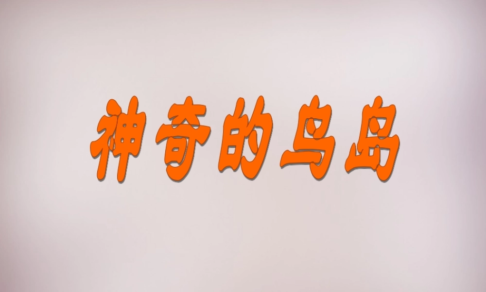 四年级语文上册《神奇的鸟岛》课件3 语文A版-语文A版小学四年级上册语文课件
