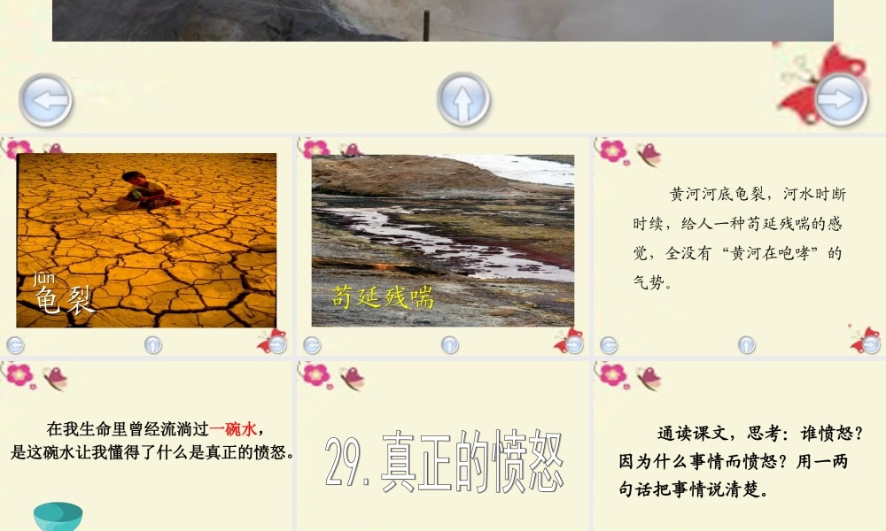 四年级语文下册 第6单元 29《真正的愤怒》课件1 沪教版-沪教版小学四年级下册语文课件