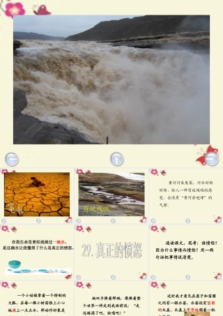 四年级语文下册 第6单元 29《真正的愤怒》课件1 沪教版-沪教版小学四年级下册语文课件