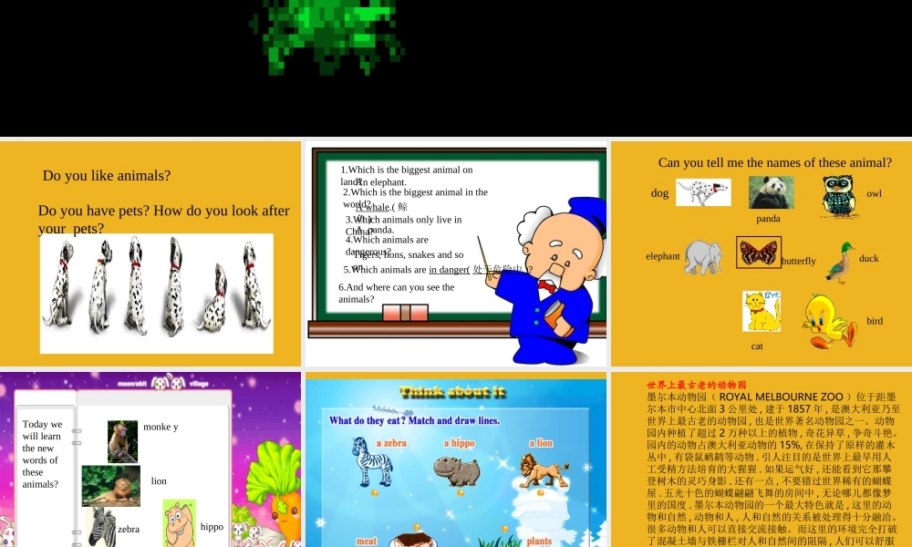 广东省深圳市宝安区五年级英语上册Unit 6 At Animal Land课件 深港版