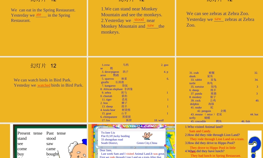 广东省深圳市宝安区五年级英语上册Unit 6 At Animal Land课件 深港版