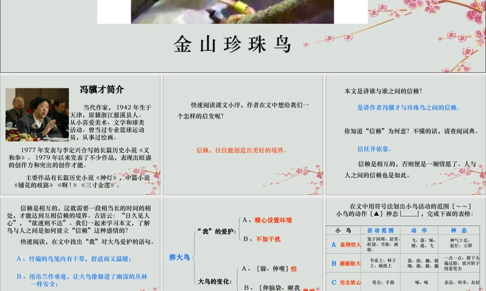 四年级语文上册 第六单元 21 珍珠鸟教学课件 苏教版-苏教版小学四年级上册语文课件