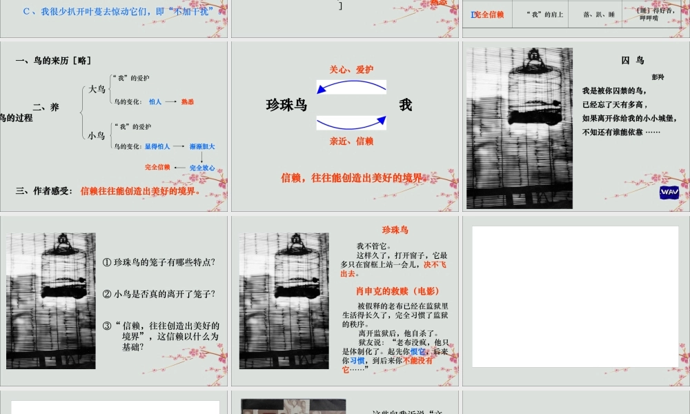 四年级语文上册 第六单元 21 珍珠鸟教学课件 苏教版-苏教版小学四年级上册语文课件