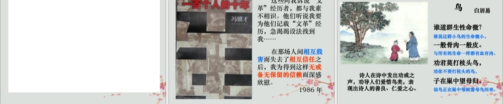 四年级语文上册 第六单元 21 珍珠鸟教学课件 苏教版-苏教版小学四年级上册语文课件