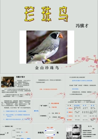 四年级语文上册 第六单元 21 珍珠鸟教学课件 苏教版-苏教版小学四年级上册语文课件