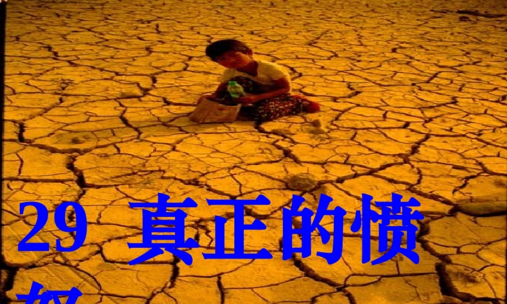四年级语文下册 第6单元 29《真正的愤怒》课件2 沪教版-沪教版小学四年级下册语文课件