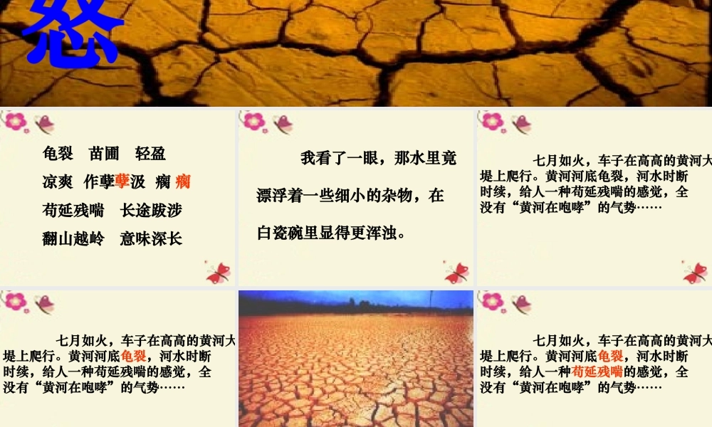 四年级语文下册 第6单元 29《真正的愤怒》课件2 沪教版-沪教版小学四年级下册语文课件