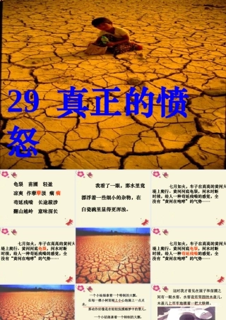 四年级语文下册 第6单元 29《真正的愤怒》课件2 沪教版-沪教版小学四年级下册语文课件