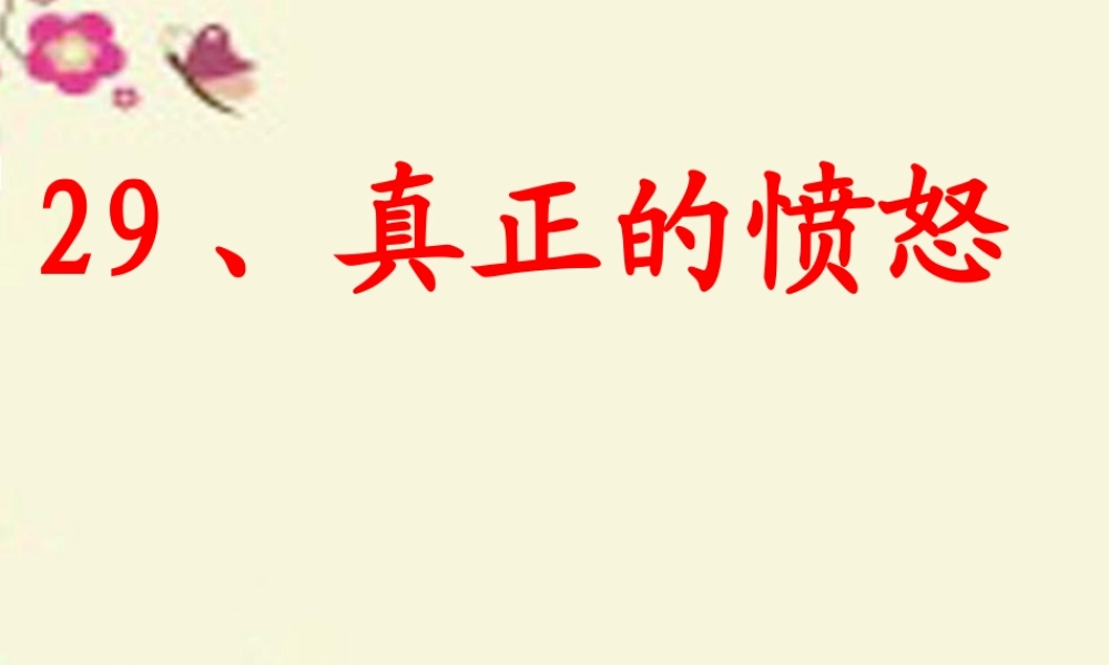 四年级语文下册 第6单元 29《真正的愤怒》课件3 沪教版-沪教版小学四年级下册语文课件