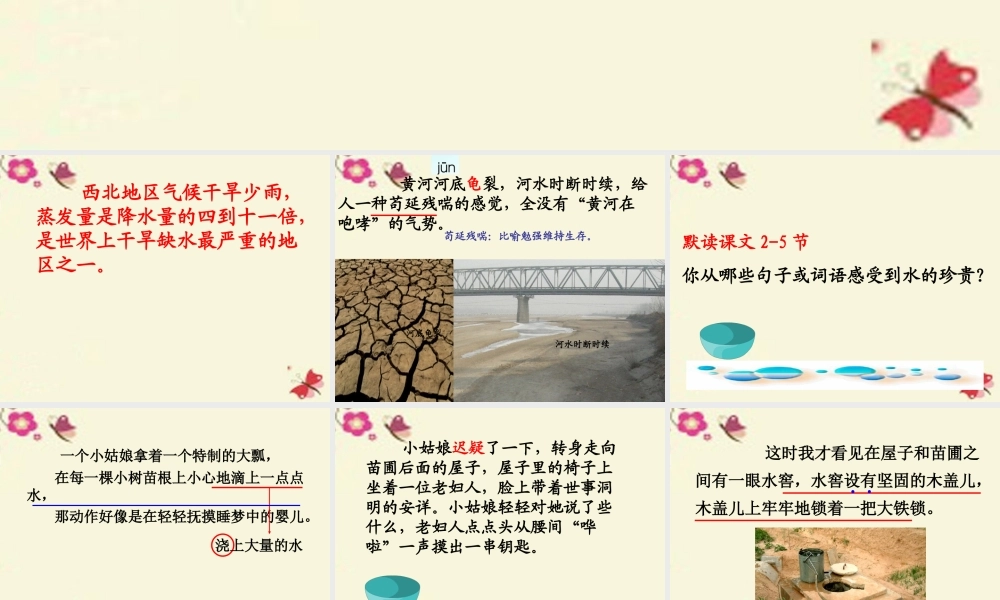 四年级语文下册 第6单元 29《真正的愤怒》课件3 沪教版-沪教版小学四年级下册语文课件