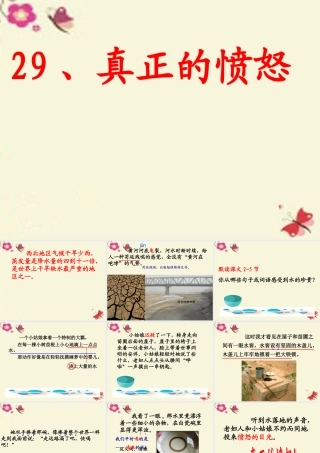 四年级语文下册 第6单元 29《真正的愤怒》课件3 沪教版-沪教版小学四年级下册语文课件