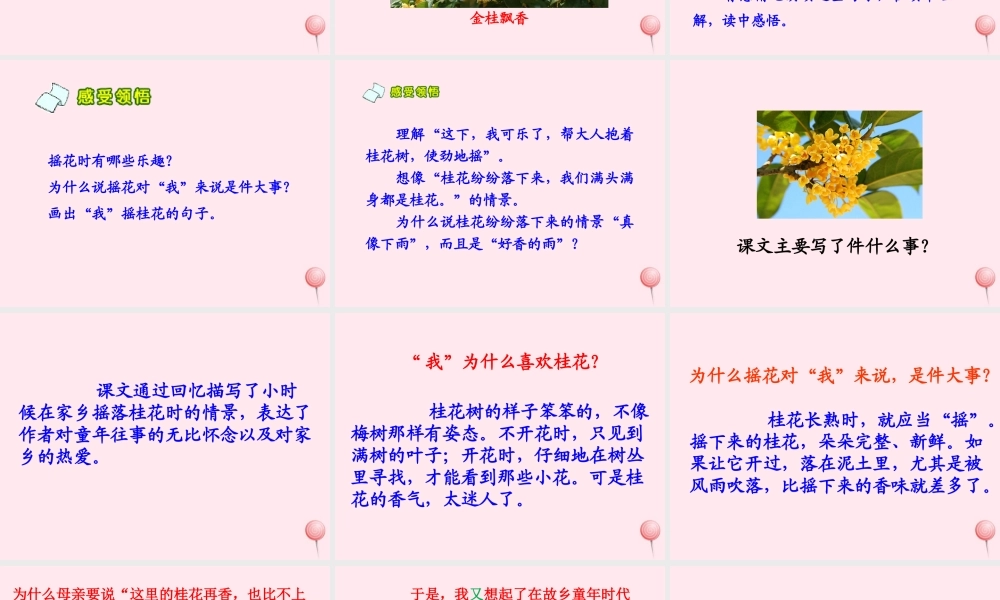 四年级语文上册 第六单元 21《古诗词三首》桂花雨培优课件 鲁教版-鲁教版小学四年级上册语文课件