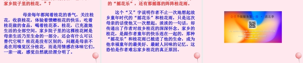四年级语文上册 第六单元 21《古诗词三首》桂花雨培优课件 鲁教版-鲁教版小学四年级上册语文课件