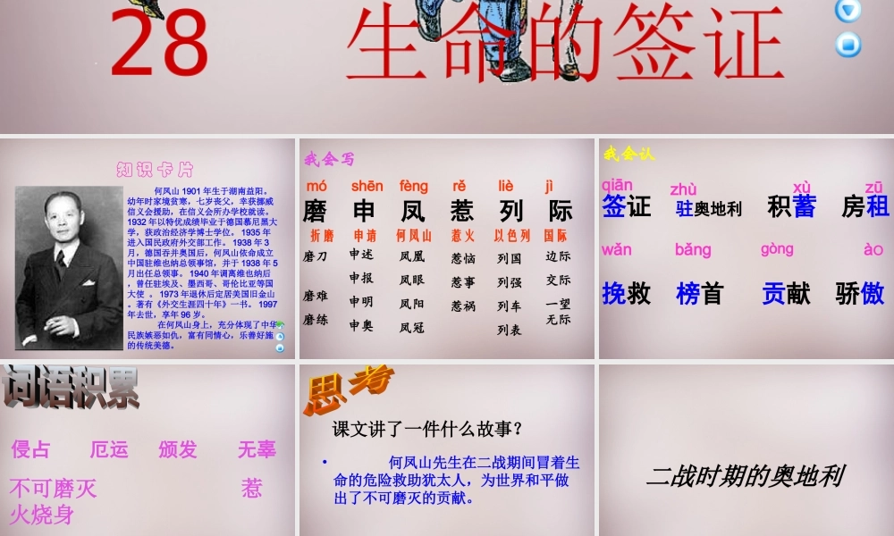 四年级语文上册《生命的签证》课件2 语文A版-语文A版小学四年级上册语文课件