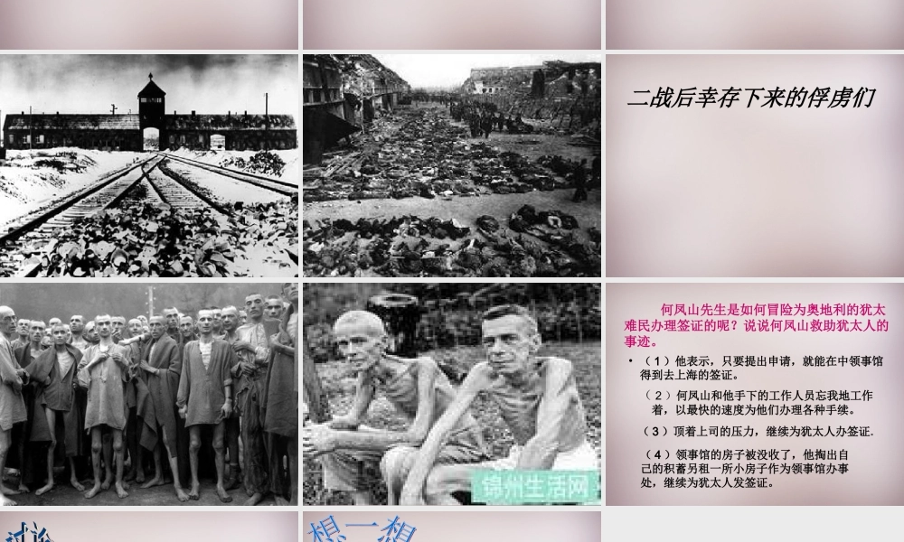 四年级语文上册《生命的签证》课件2 语文A版-语文A版小学四年级上册语文课件