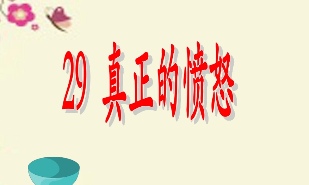 四年级语文下册 第6单元 29《真正的愤怒》课件4 沪教版-沪教版小学四年级下册语文课件