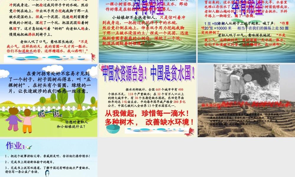 四年级语文下册 第6单元 29《真正的愤怒》课件4 沪教版-沪教版小学四年级下册语文课件