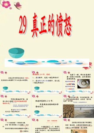 四年级语文下册 第6单元 29《真正的愤怒》课件4 沪教版-沪教版小学四年级下册语文课件