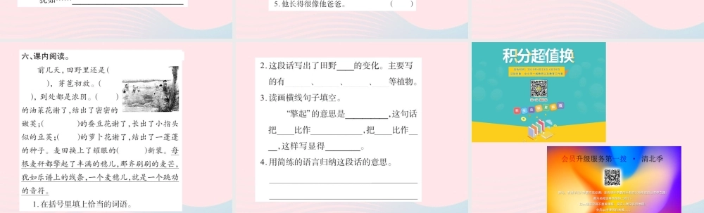 四年级语文下册 第6组 24 麦哨习题课件 新人教版-新人教版小学四年级下册语文课件