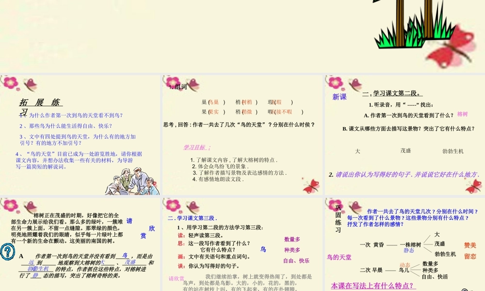 四年级语文下册 第7单元 25《鸟的天堂》课件1 语文S版-语文S版小学四年级下册语文课件