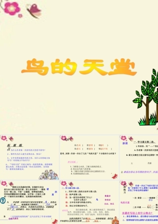 四年级语文下册 第7单元 25《鸟的天堂》课件1 语文S版-语文S版小学四年级下册语文课件