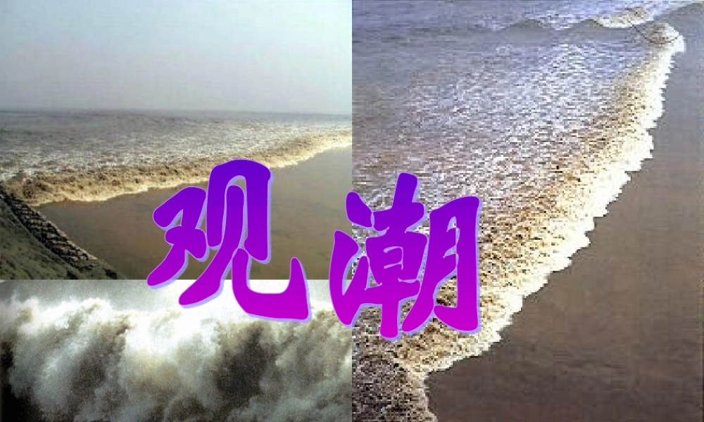 四年级语文上册 第五单元 21《观潮》名师推荐课件 冀教版-冀教版小学四年级上册语文课件