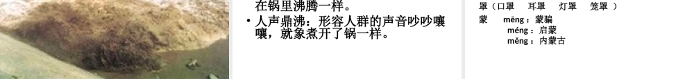 四年级语文上册 第五单元 21《观潮》名师推荐课件 冀教版-冀教版小学四年级上册语文课件