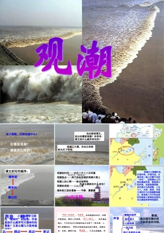 四年级语文上册 第五单元 21《观潮》名师推荐课件 冀教版-冀教版小学四年级上册语文课件