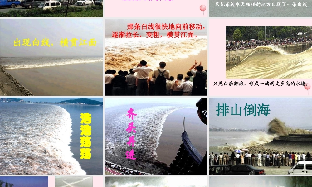 四年级语文上册 第五单元 21《观潮》同步优秀课件 冀教版-冀教版小学四年级上册语文课件