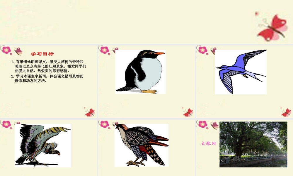 四年级语文下册 第7单元 25《鸟的天堂》课件3 语文S版-语文S版小学四年级下册语文课件