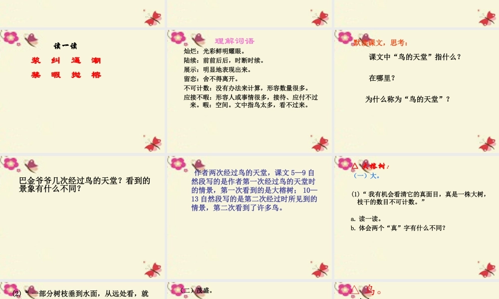 四年级语文下册 第7单元 25《鸟的天堂》课件3 语文S版-语文S版小学四年级下册语文课件